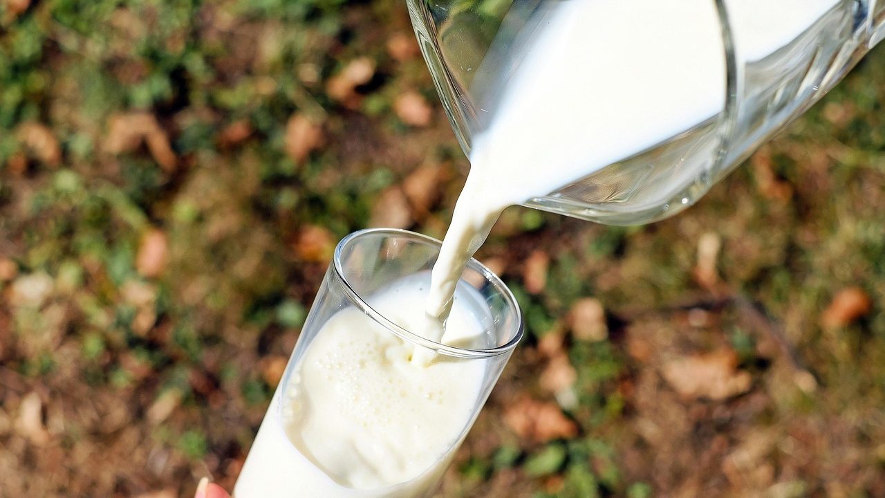 Ar šiltas pienas padeda miegoti menopauzės metu? Ką rodo jo sudėtis
